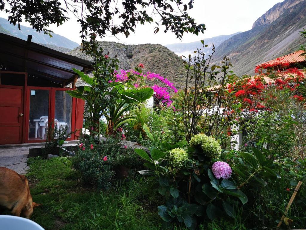 Casa De Virginia Villa Cabanaconde Exterior foto